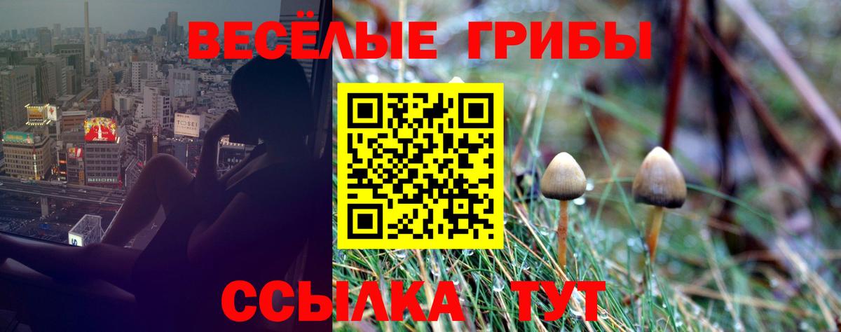 Великий Устюг  Псилоцибиновые грибы GOLDEN TEACHER  Вход с VPN 