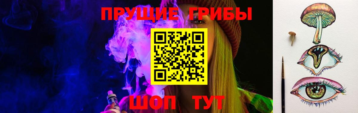 Псилоцибиновые грибы Psilocybine cubensis Великий Устюг